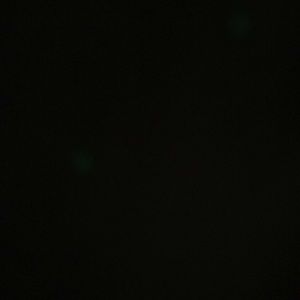 Meet your Posher, Jaydon diaz